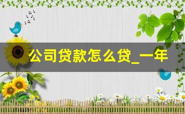 公司贷款怎么贷_一年开票100万能贷多少钱