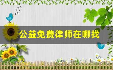 公益免费律师在哪找