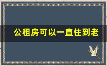 公租房可以一直住到老吗_公租房查流水还是查存款