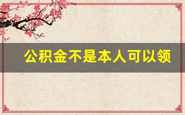 公积金不是本人可以领取吗_2023公积金提取新规