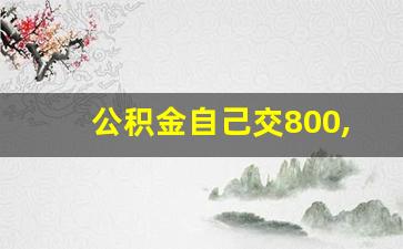 公积金自己交800,单位交多少_月薪6000公积金每月扣多少