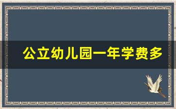 公立幼儿园一年学费多少钱