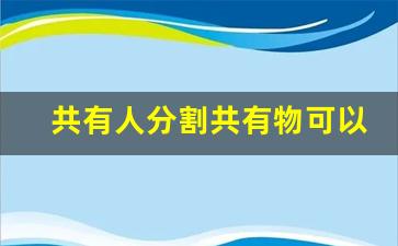 共有人分割共有物可以采取的方法