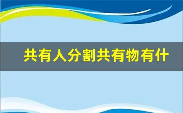 共有人分割共有物有什么影响_共有物分割一方不同意怎么办