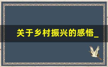 关于乡村振兴的感悟_乡村振兴感悟200字