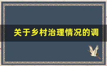 关于乡村治理情况的调研报告