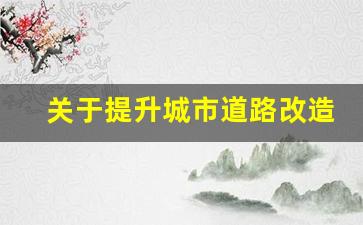 关于提升城市道路改造的建议_关于道路交通修建的建议