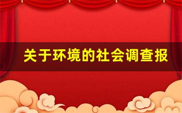 关于环境的社会调查报告600字_社会调查报告1000字