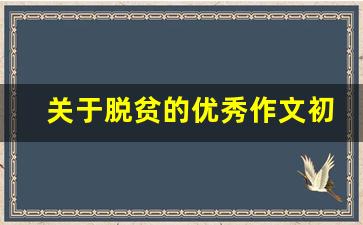 关于脱贫的优秀作文初中生_以扶贫为主题的英语作文