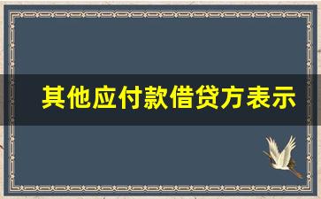 其他应付款借贷方表示