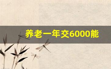 养老一年交6000能领多少