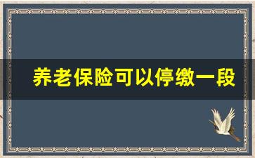 养老保险可以停缴一段时间吗_养老保险可以停多久再交