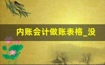 内账会计做账表格_没有经验怎么做内账