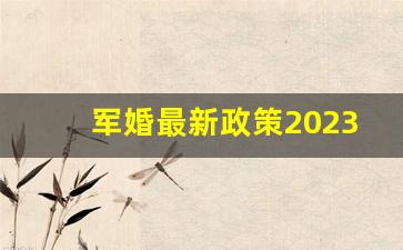 军婚最新政策2023年_军婚需要政审女方三代吗