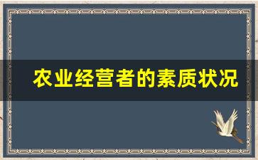 农业经营者的素质状况_农民从业情况