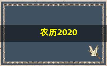 农历2020