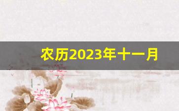 农历2023年十一月初六黄历