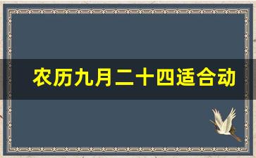 农历九月二十四适合动土吗_2023年农历九月二十四结婚好吗