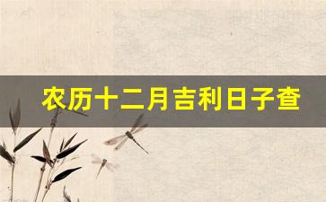 农历十二月吉利日子查询_2024年公历1月黄道吉日