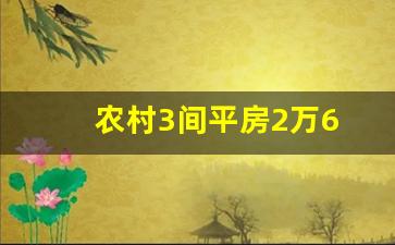 农村3间平房2万6