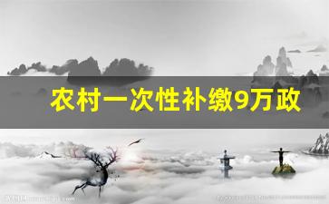 农村一次性补缴9万政策