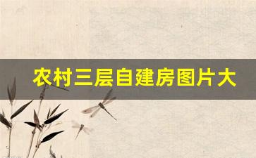 农村三层自建房图片大全120_农村三层楼