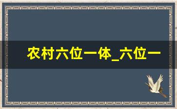 农村六位一体_六位一体指的是什么