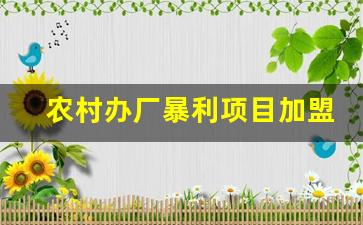 农村办厂暴利项目加盟_最新项目商机