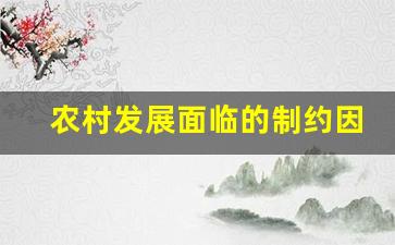 农村发展面临的制约因素_影响农村发展的因素有哪些