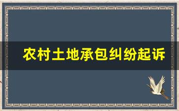 农村土地承包纠纷起诉流程