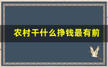 农村干什么挣钱最有前景