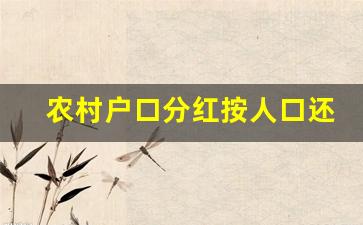 农村户口分红按人口还是按户