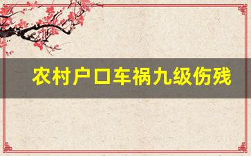 农村户口车祸九级伤残赔几万_车祸9级伤残一共赔多少