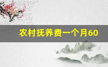 农村抚养费一个月600多吗