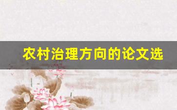 农村治理方向的论文选题