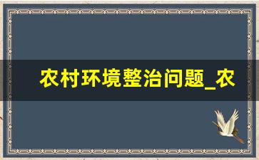 农村环境整治问题_农村关于民生和环境的检视清单