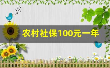 农村社保100元一年