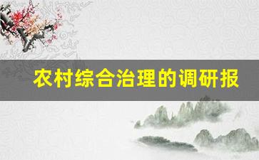 农村综合治理的调研报告_XX镇XX村社会综合治理调研报告