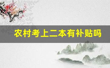 农村考上二本有补贴吗_每个村都有大学生补助吗