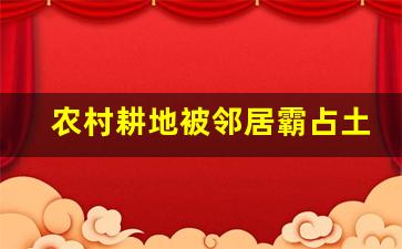 农村耕地被邻居霸占土地怎么办_农村耕地地邻界线纠纷