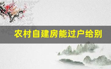 农村自建房能过户给别人吗_自建房房产证可以过户吗