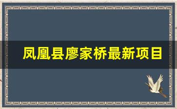 凤凰县廖家桥最新项目