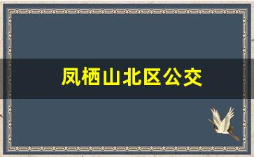 凤栖山北区公交