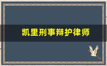 凯里刑事辩护律师