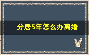 分居5年怎么办离婚