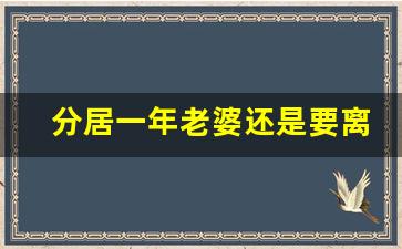 分居一年老婆还是要离婚_和老婆分居一年怎么办