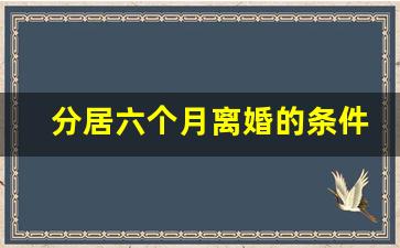 分居六个月离婚的条件是什么