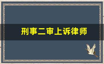 刑事二审上诉律师