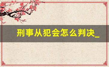 刑事从犯会怎么判决_2023年以后没缓刑了怎么办