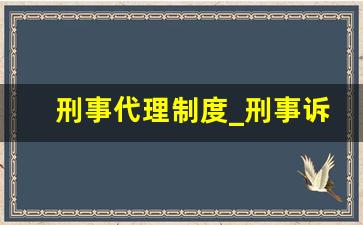 刑事代理制度_刑事诉讼辅助制度的内涵